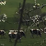 Rustique Au Cœur De L'allier Avec Poêle à Bois - Fr-1-582-543