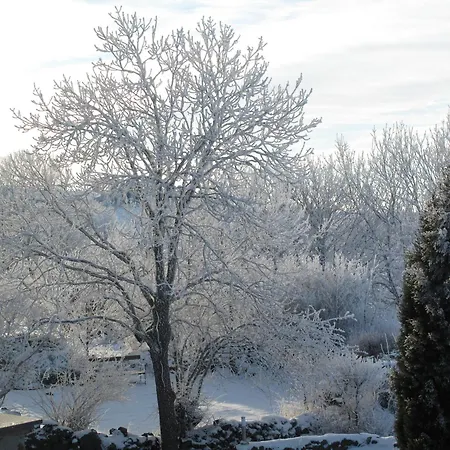 Rustique Au Coeur De L'allier Avec Poele A Bois - Fr-1-582-543 * Saint-Bérain