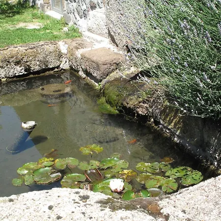 Rustique Au Coeur De L'allier Avec Poele A Bois - Fr-1-582-543 Дом отдыха *