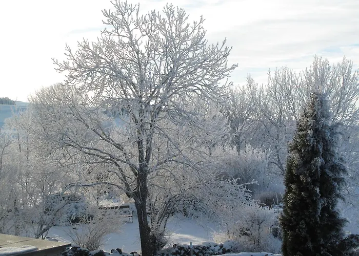 Rustique Au Coeur De L'allier Avec Poele A Bois - Fr-1-582-543 * Saint-Bérain