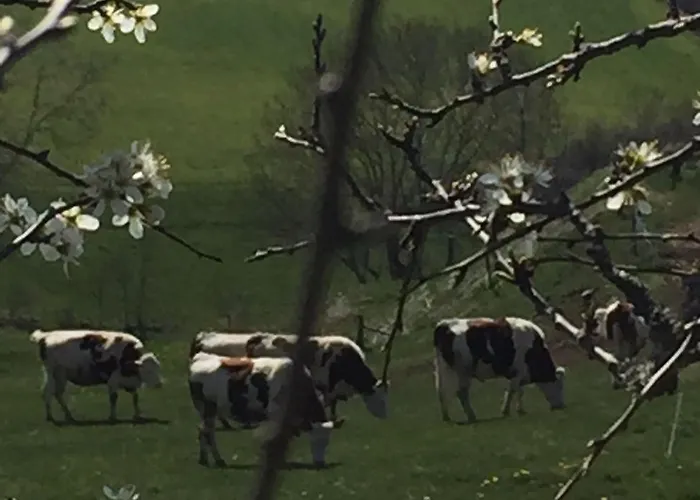 Rustique Au Coeur De L'allier Avec Poele A Bois - Fr-1-582-543